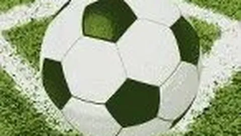 天津之行：澳大利亚朋友熊凯的农耕生活体验记